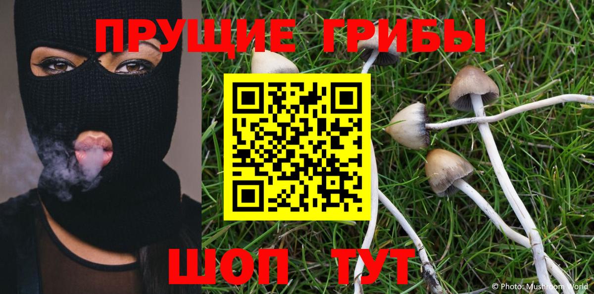 Галлюциногенные грибы Magic Shrooms  Вход с VPN  купить закладку  Ликино-Дулёво  Галлюциногенные грибы MAGIC MUSHROOMS 