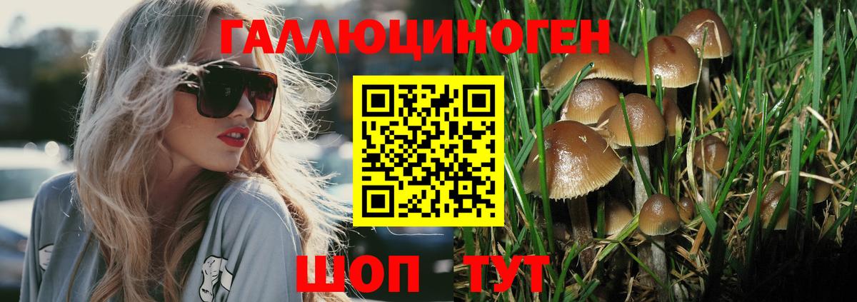 Псилоцибиновые грибы прущие грибы Ликино-Дулёво
